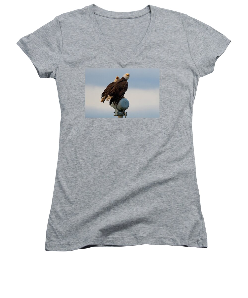 Blue Heron Comox British Columbia Pacific Ocean Canada Birds Wildlife. Ocean West Coast Miracle Beach Bald Eagle Women's V-Neck featuring the photograph Hunting Pair by Edward Kovalsky