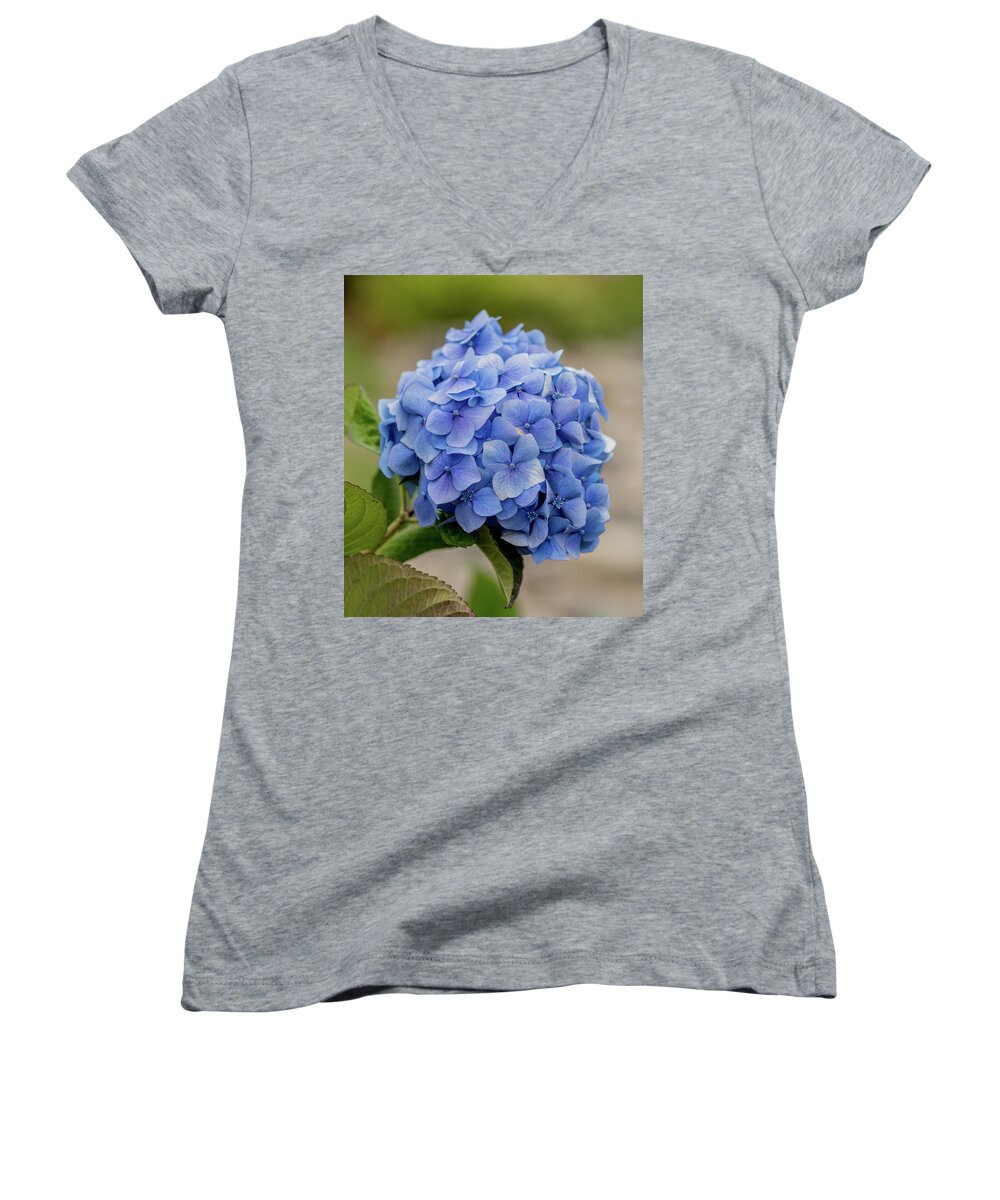 Floral Women's V-Neck featuring the photograph #Hydrangea in Blue by E Faithe Lester