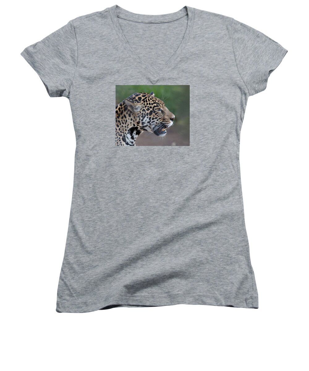 Tiger Women's V-Neck featuring the photograph I am not happy by Vance Bell