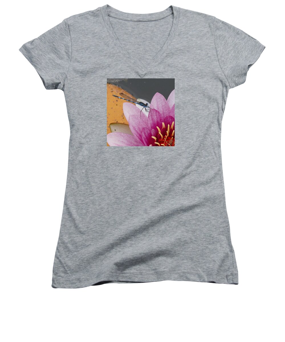 Plant; Flower; Blossom; Pond; Animal; Dragon Fly; Insect; Blue; Water Lily; Pink; Macro; Close-up; Australia; Women's V-Neck featuring the photograph I Know You by Evelyn Tambour