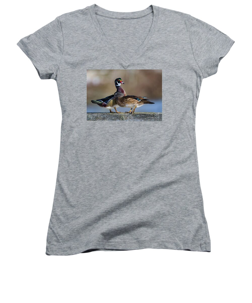 Ducks Women's V-Neck featuring the photograph I Wuv You by Jim Hatch