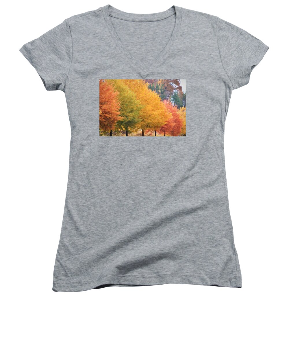 Multi-colored Trees Women's V-Neck featuring the photograph October Trees by Chuck Brown