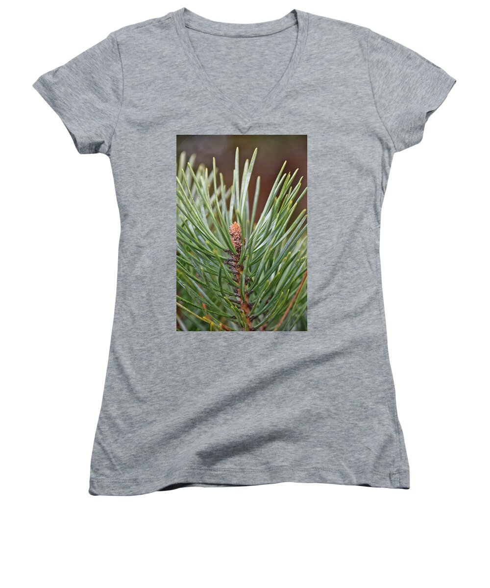 Pine Women's V-Neck featuring the photograph In the Beginning by Kuni Photography