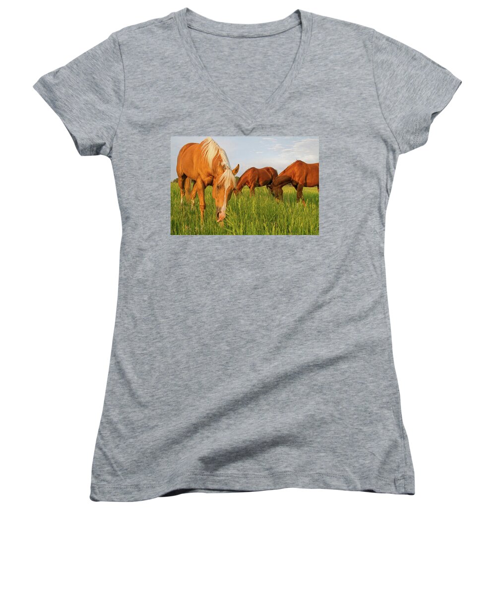 Quarter Horse Women's V-Neck featuring the photograph In The Grass by Alana Thrower