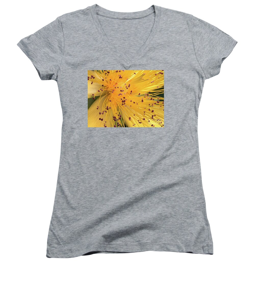 Flower Women's V-Neck featuring the photograph Inside a flower - Favorite of the bees by Eva-Maria Di Bella