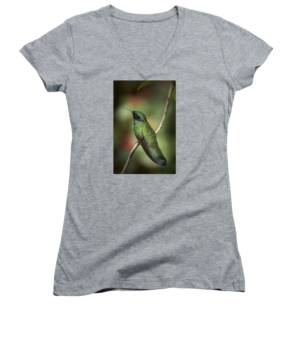 Portrait Women's V-Neck featuring the photograph Iridescent Hummingbird with Purple by Penny Lisowski
