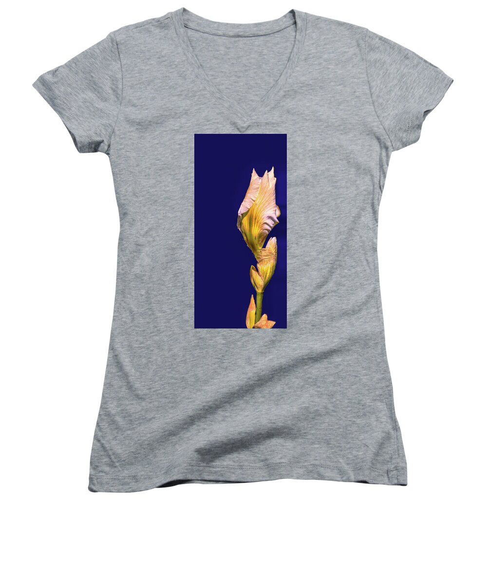 Yellow Women's V-Neck featuring the photograph Iris beginning to bloom #g0 by Leif Sohlman