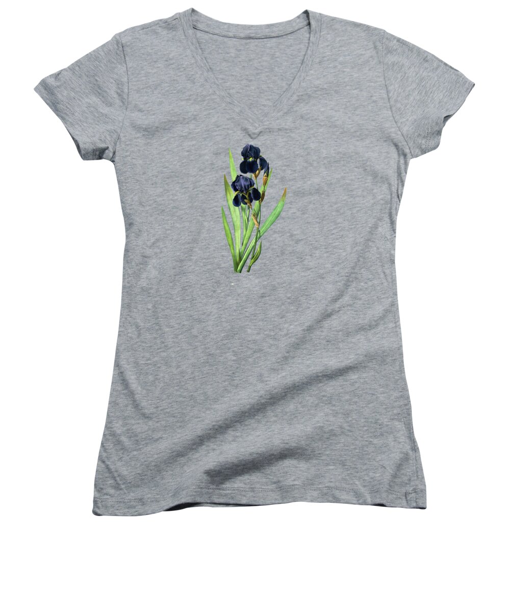 Floral Plant Women's V-Neck featuring the photograph Iris Germanica by Tom Prendergast