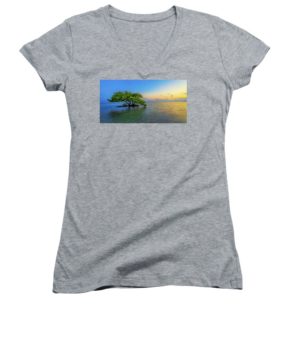 Mangrove Women's V-Neck featuring the photograph Isolation by Chad Dutson