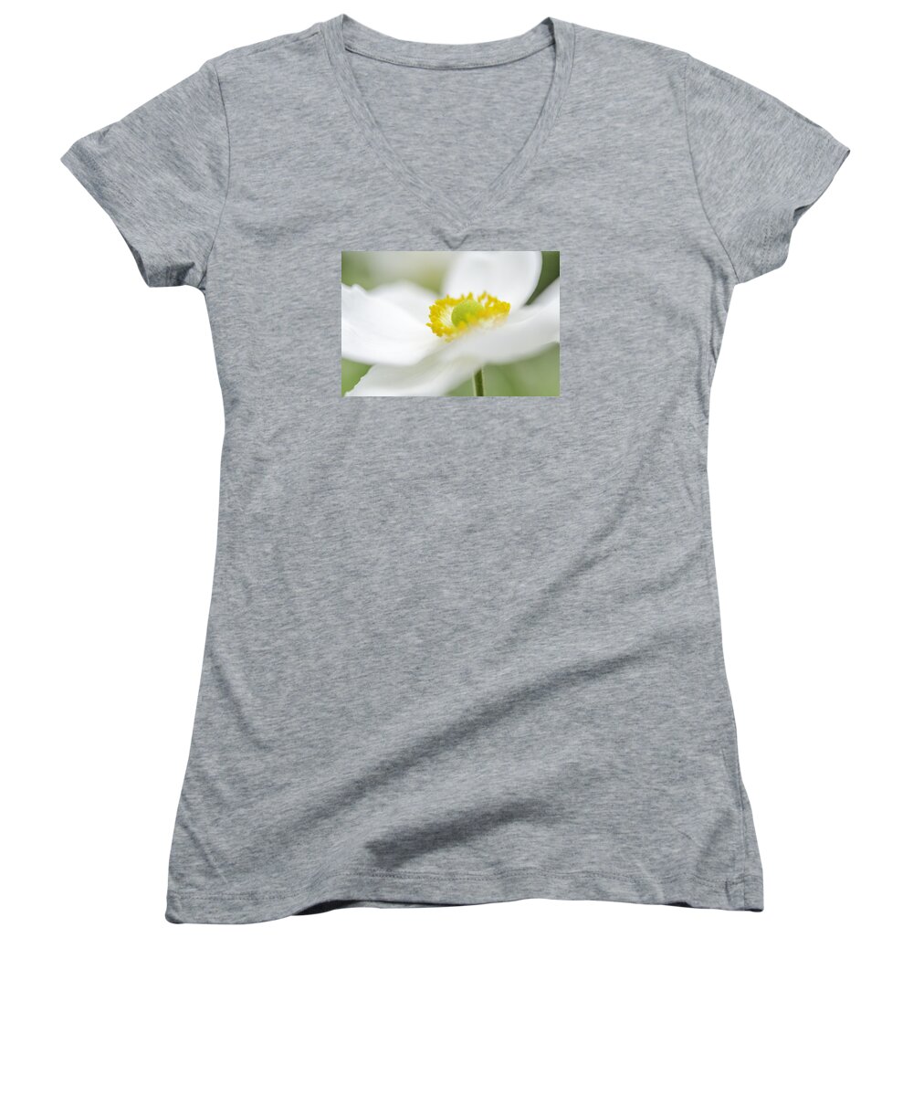 Anemone Women's V-Neck featuring the photograph Japanese Anemone by Mary Angelini