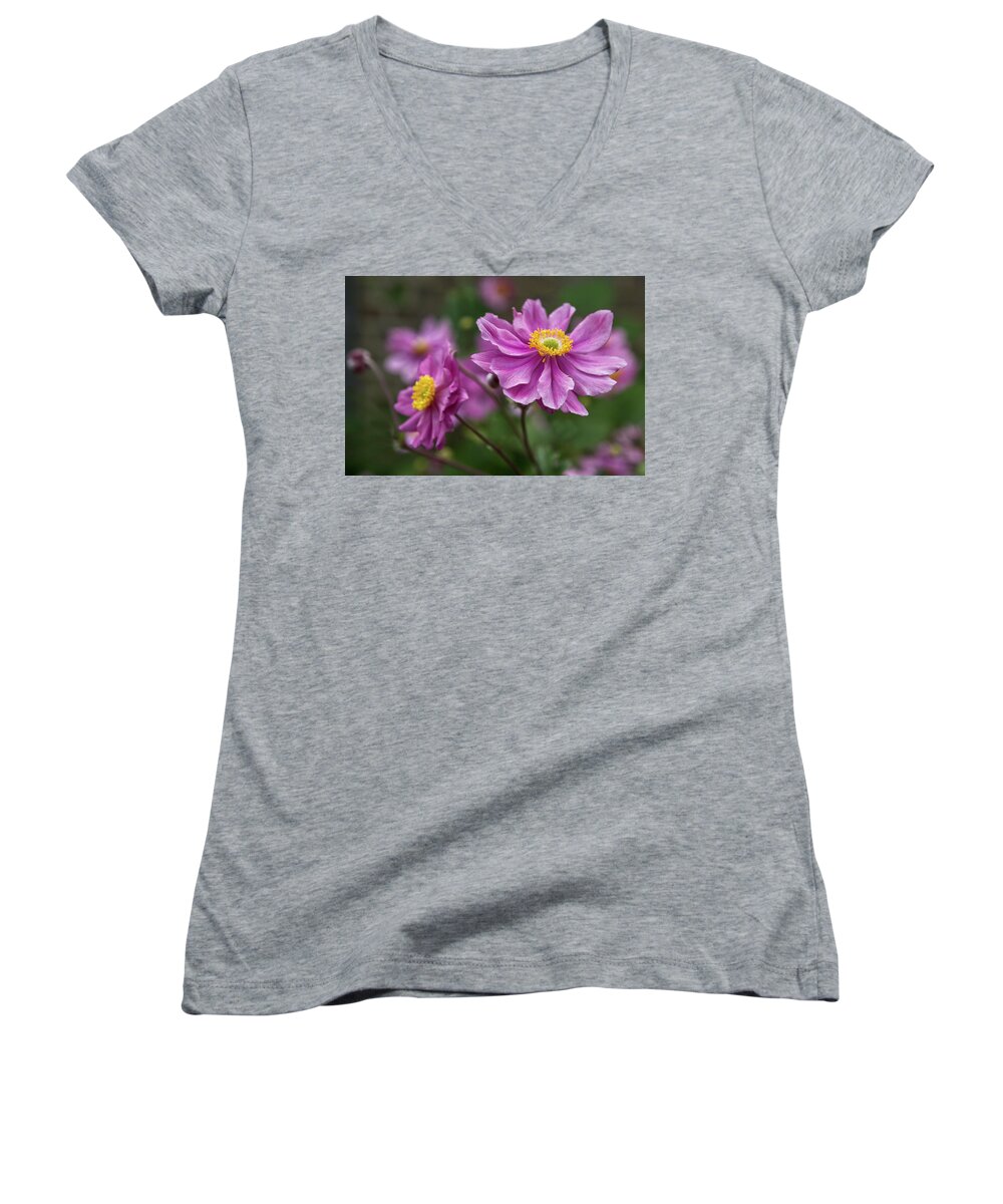 Floral Women's V-Neck featuring the photograph Japanese Anemone by Shirley Mitchell