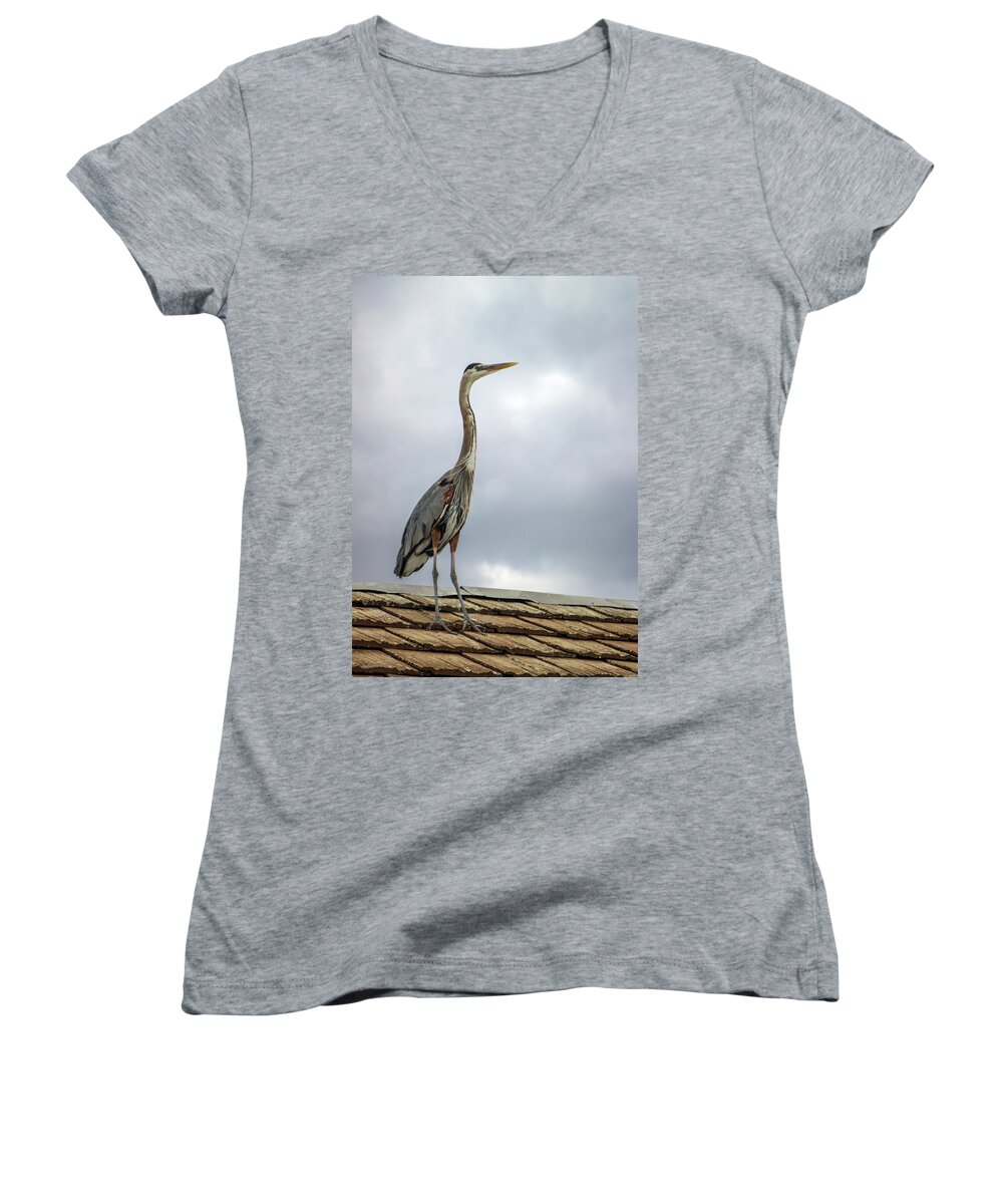 Animal Women's V-Neck featuring the photograph Keeping Watch by Ed Clark