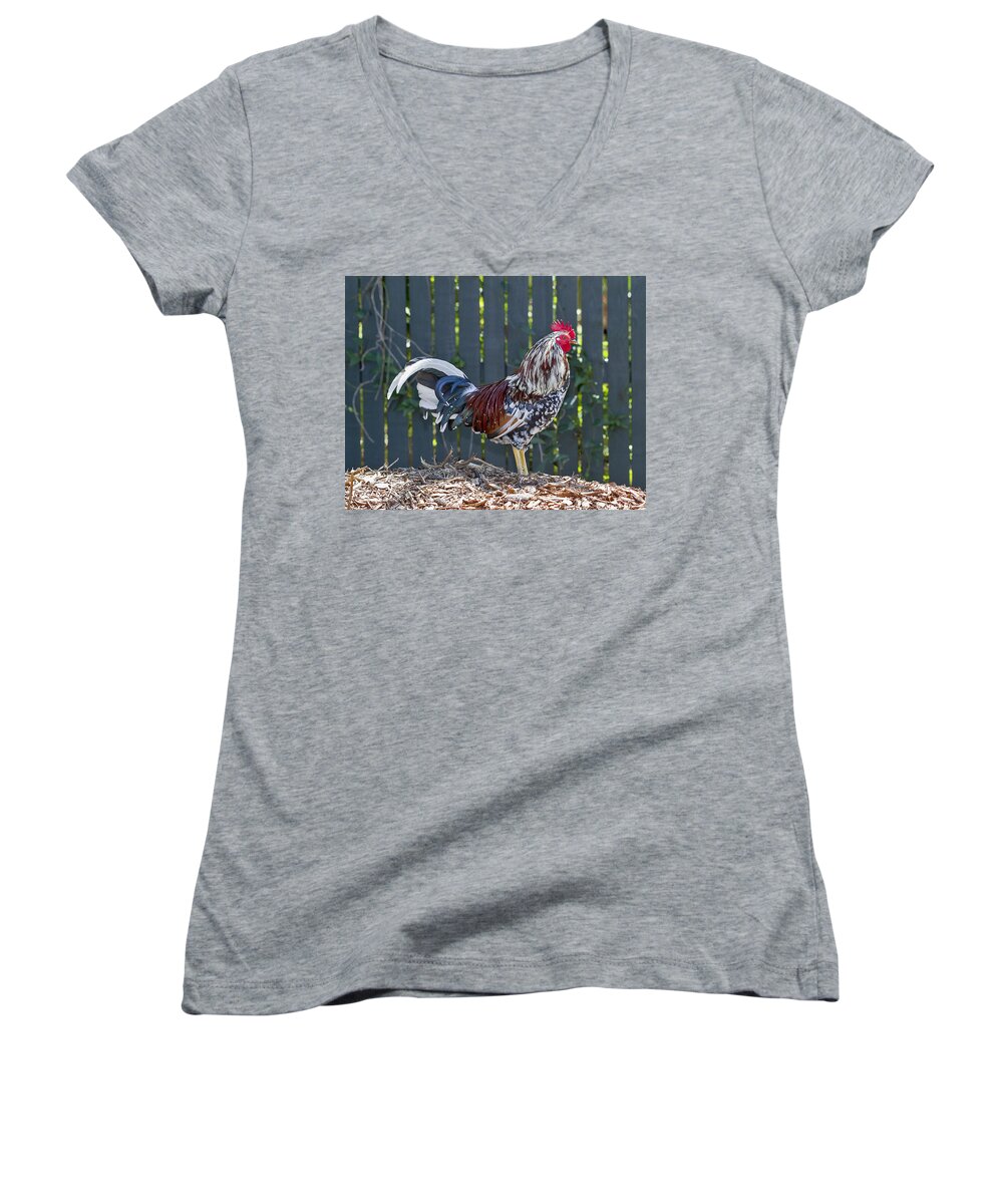 Rooster Women's V-Neck featuring the photograph Key West Rooster 2 by Bob Slitzan