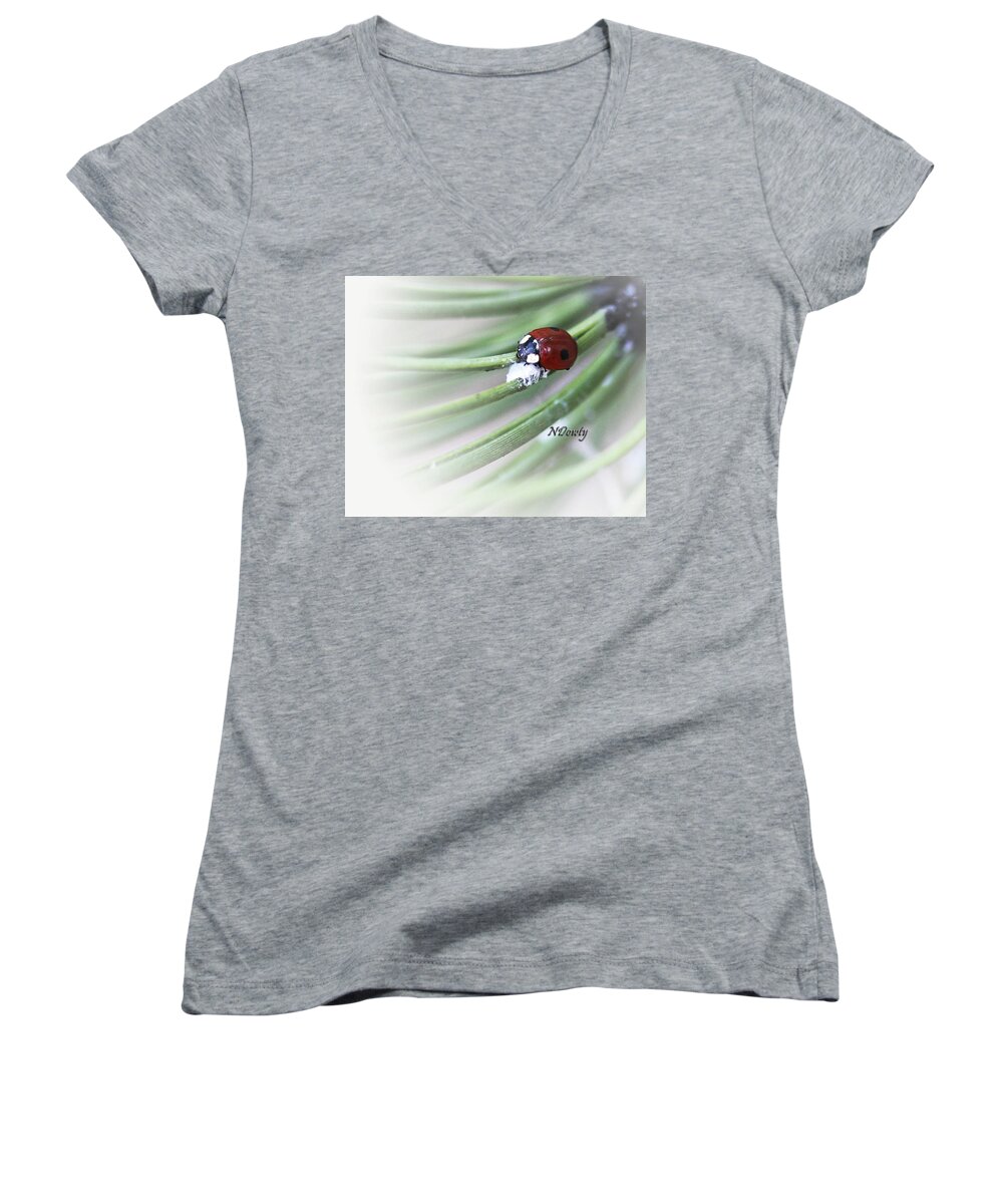 Ladybug On Pine Women's V-Neck featuring the photograph Ladybug on Pine by Natalie Dowty