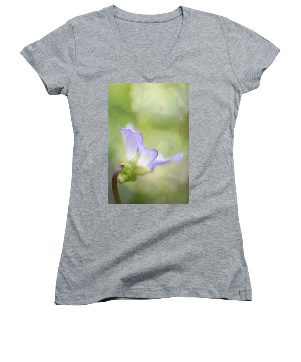 Bloom Women's V-Neck featuring the photograph Lavender by Robert FERD Frank