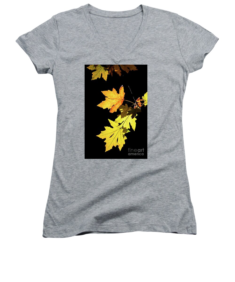 Leaves Women's V-Neck featuring the photograph Leaves On Black by Mimi Ditchie
