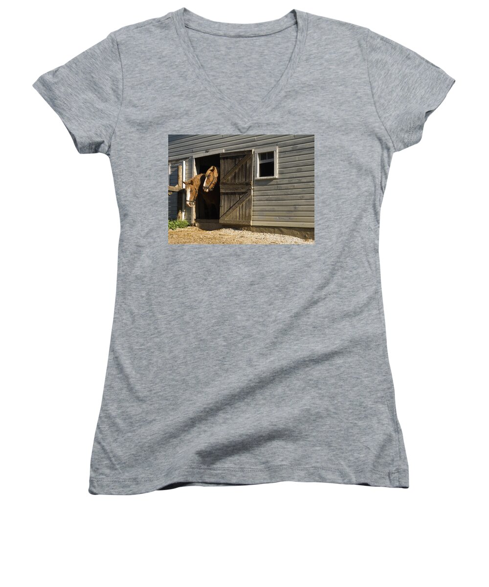 Two Horses Standing Inside Narrow Barn Door Women's V-Neck featuring the photograph Let's Go Out by Sally Weigand