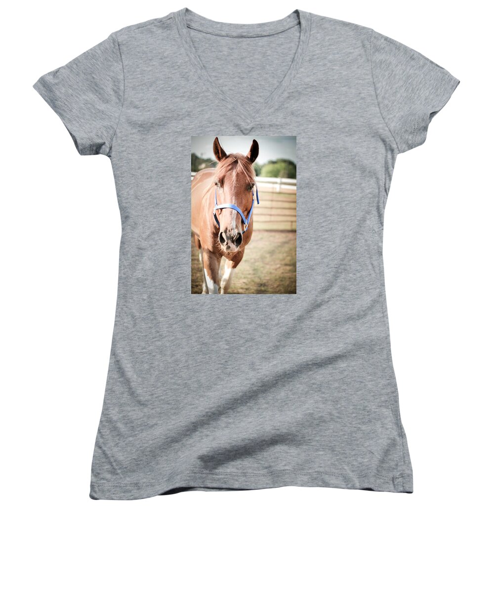 Kelly Hazel Women's V-Neck featuring the photograph Light Brown Horse Named Flash by Kelly Hazel
