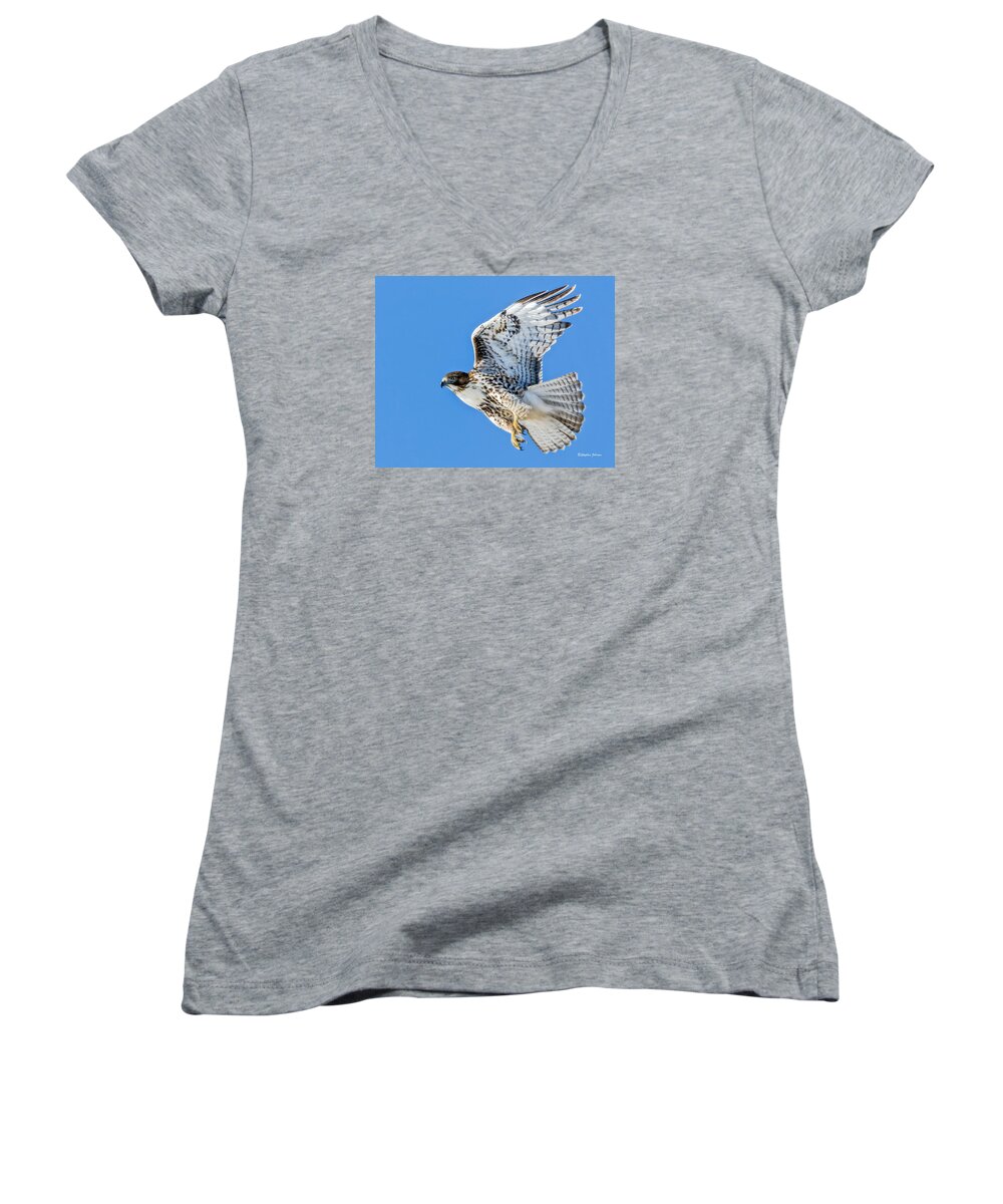 Red-tailed Hawk Women's V-Neck featuring the photograph Light Morph Juvenile Red-tailed Hawk by Stephen Johnson
