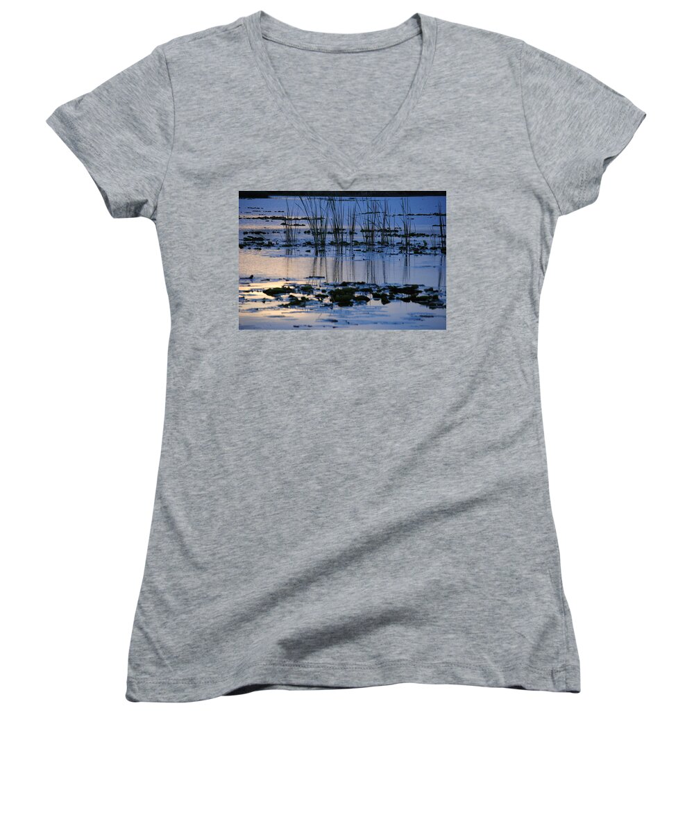 Lake Women's V-Neck featuring the photograph Lily Pond by Pamela Williams