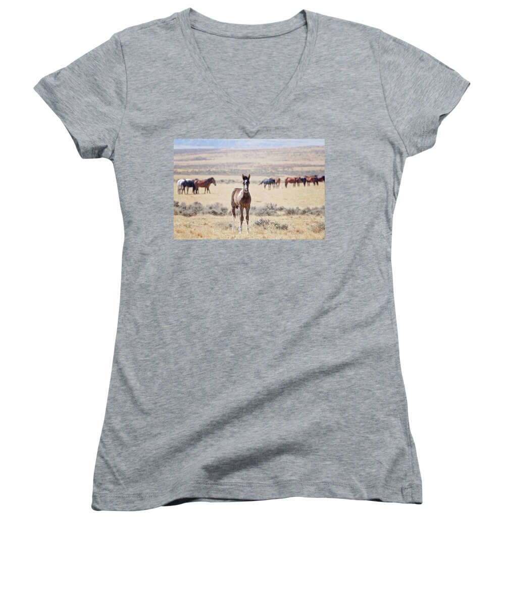 Wild Horses Women's V-Neck featuring the photograph Little Prince by Eilish Palmer