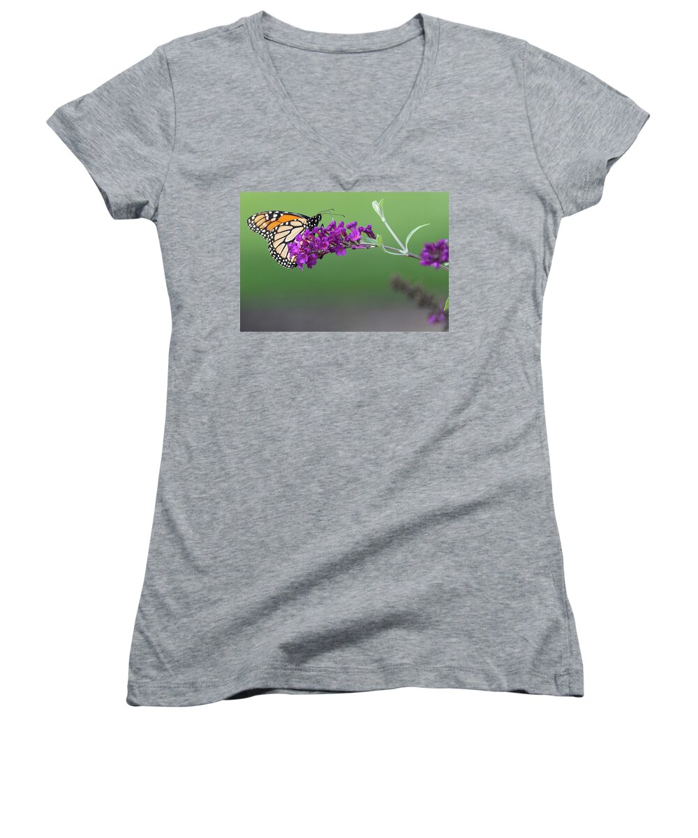 Butterfly Women's V-Neck featuring the photograph Little Wing by Angelo Marcialis
