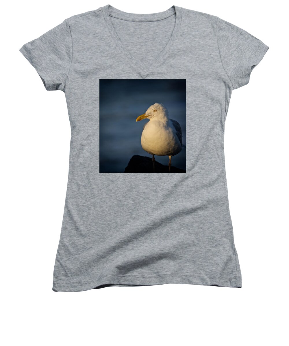 Acadia National Park Women's V-Neck featuring the photograph Lonely Gull by Kathi Isserman