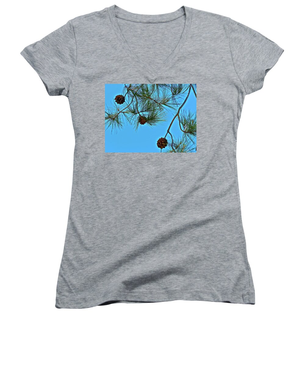 Trees Women's V-Neck featuring the photograph Look Up by Diana Hatcher