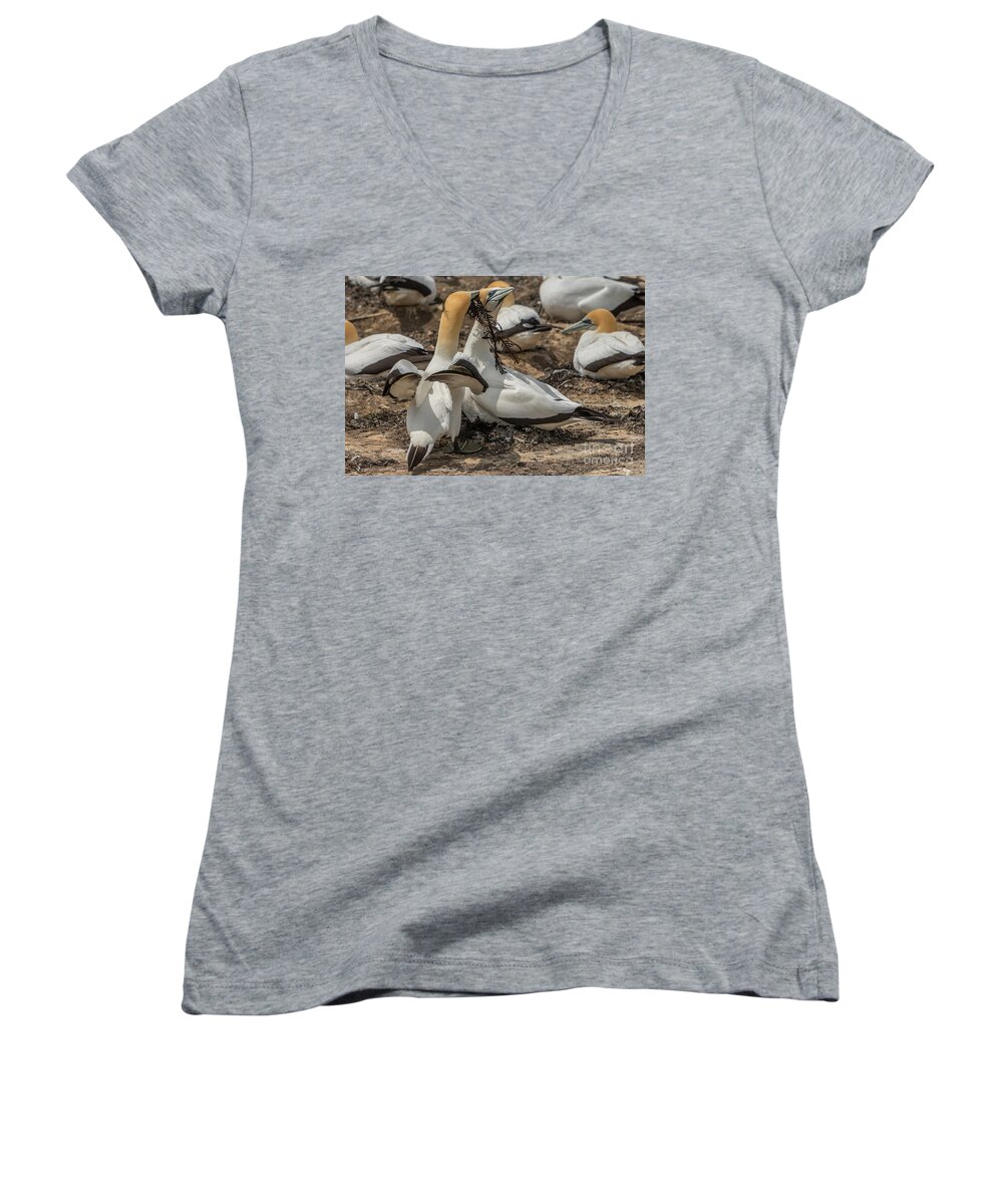 Bird Women's V-Neck featuring the photograph Look What I've Brought For You by Werner Padarin