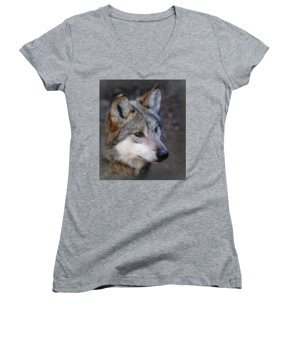 Wolf Women's V-Neck featuring the photograph Looking Onward by Elaine Malott