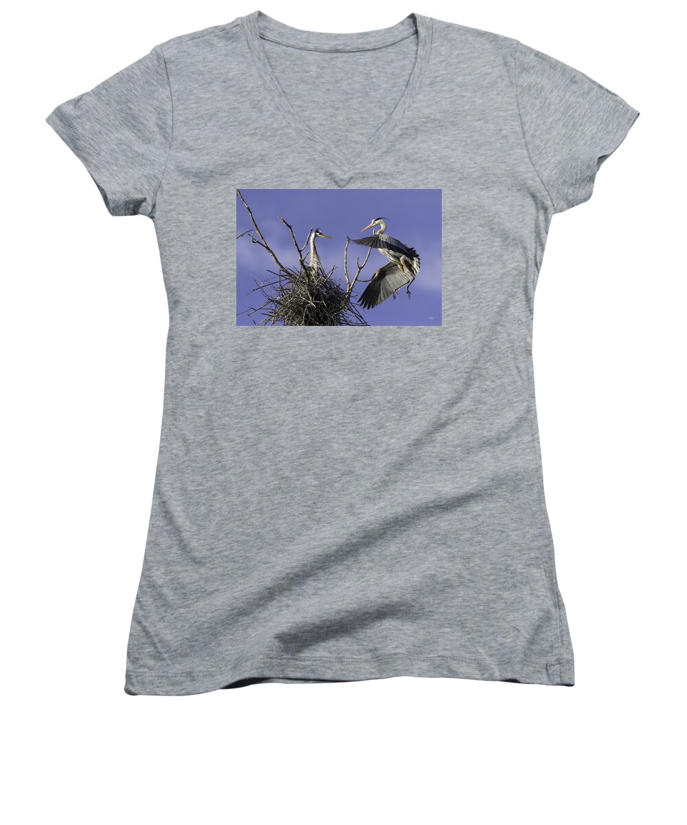 Great Blue Heron Women's V-Neck featuring the photograph Love at First Sight by Everet Regal