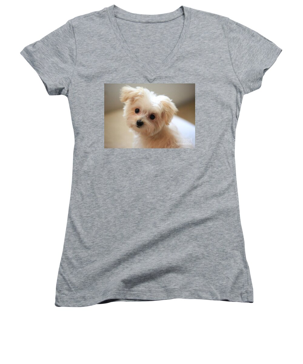 Puppy Women's V-Neck featuring the photograph Loving Eyes by Carol Groenen