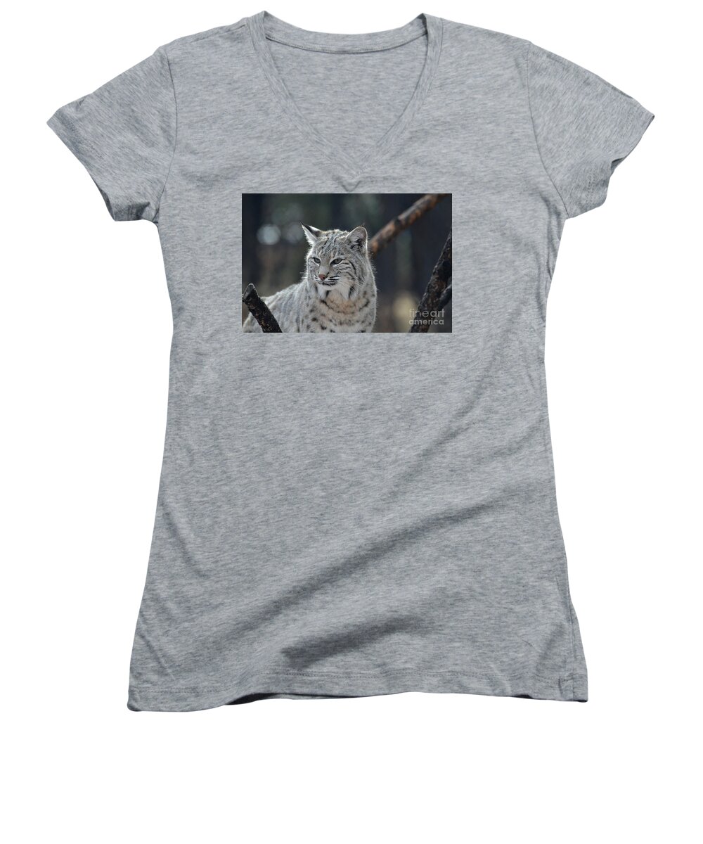 Bobcat Women's V-Neck featuring the photograph Lynx With a Very Unhappy Face by DejaVu Designs