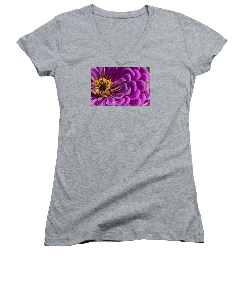 Beallesville Women's V-Neck featuring the photograph Magenta Zinnia by Brian Green