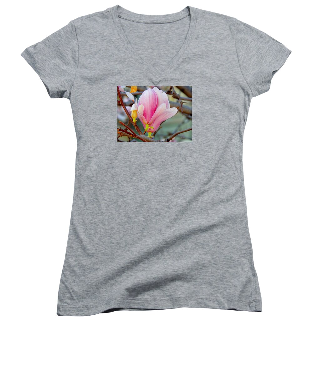 Spring Women's V-Neck featuring the photograph Magnolia Blossoms by Wild Thing