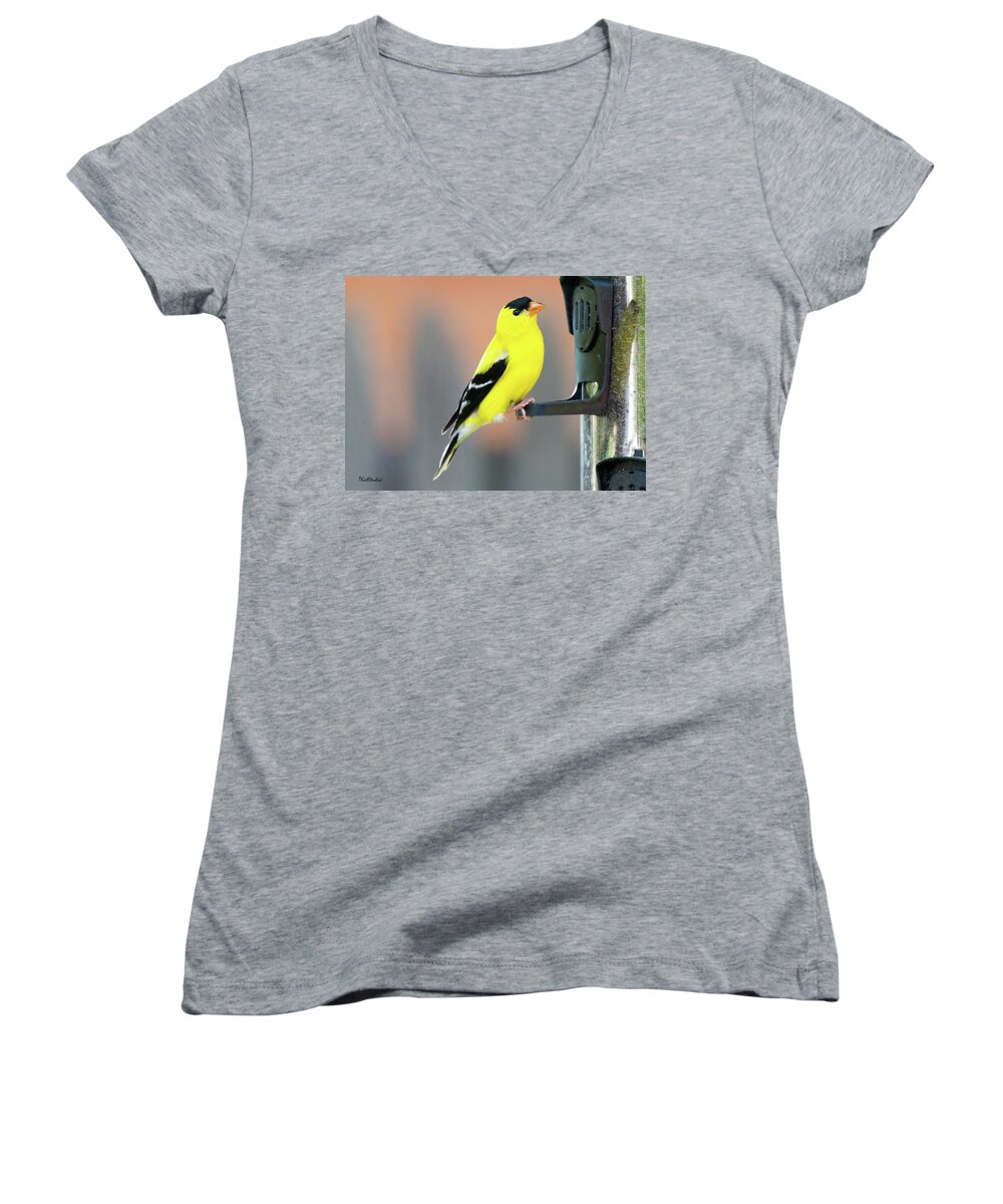 American Goldfinch Women's V-Neck featuring the photograph Male American Goldfinch by Tim Kathka
