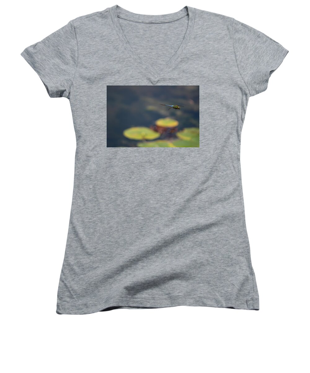 Malibu Blue Women's V-Neck featuring the photograph Malibu Blue Dragonfly Flying over Lotus Pond by Colleen Cornelius