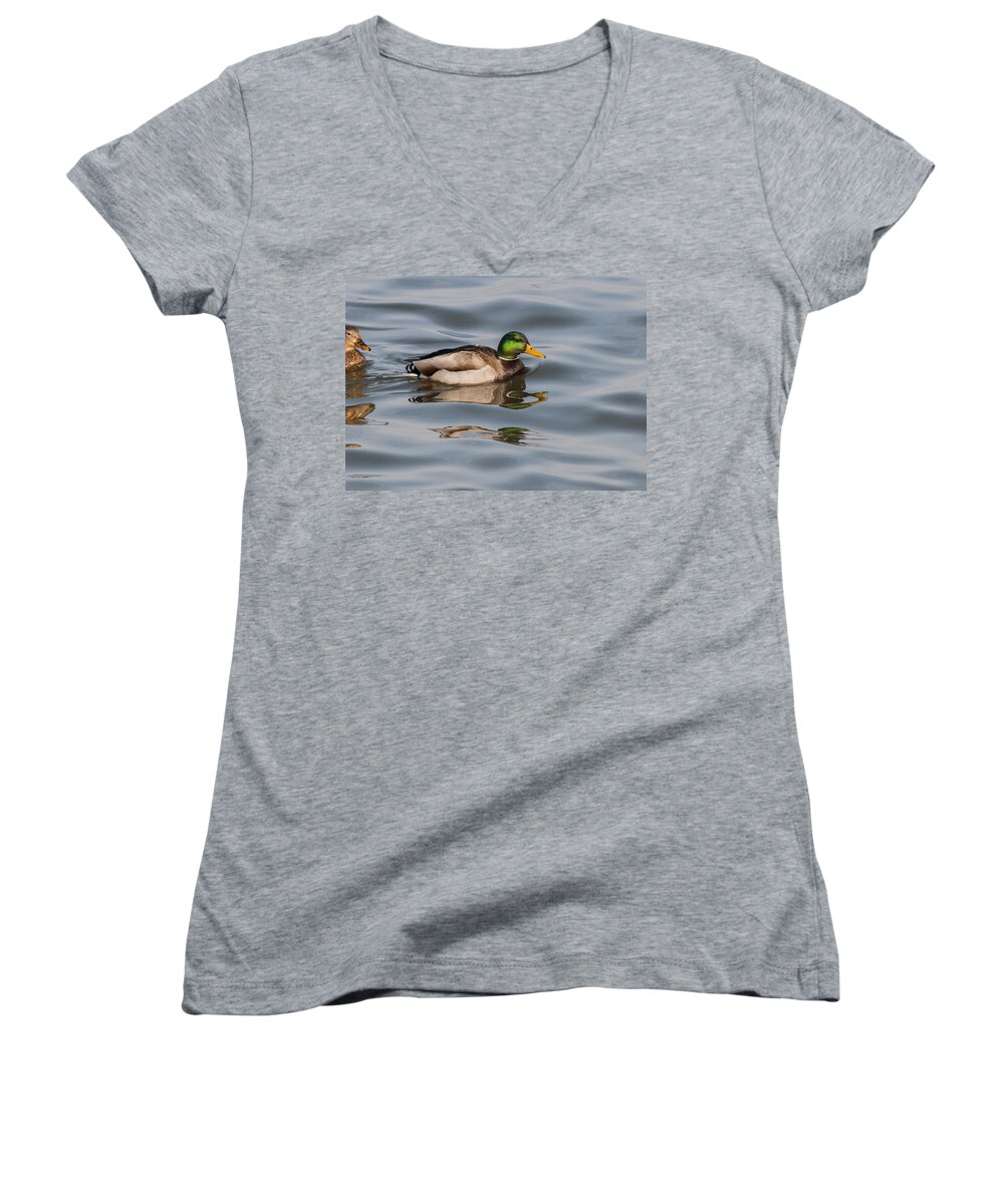 Water Women's V-Neck featuring the photograph Mallards and Reflection by Robert Potts