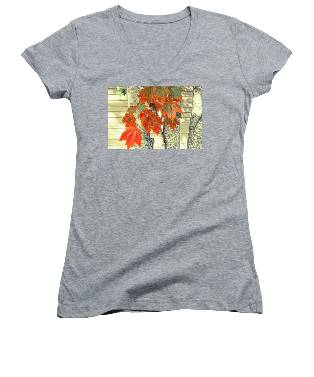 Maple Leaves Women's V-Neck featuring the photograph Maple by Ronda Broatch