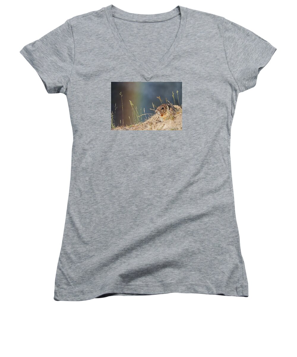 Outdoors Women's V-Neck featuring the photograph Marmot and Rainbow by Doug Davidson