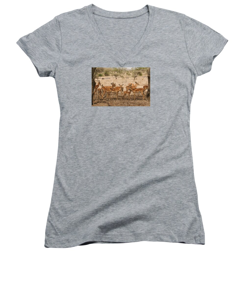 Gary Hall Women's V-Neck featuring the photograph Master of His Domain by Gary Hall