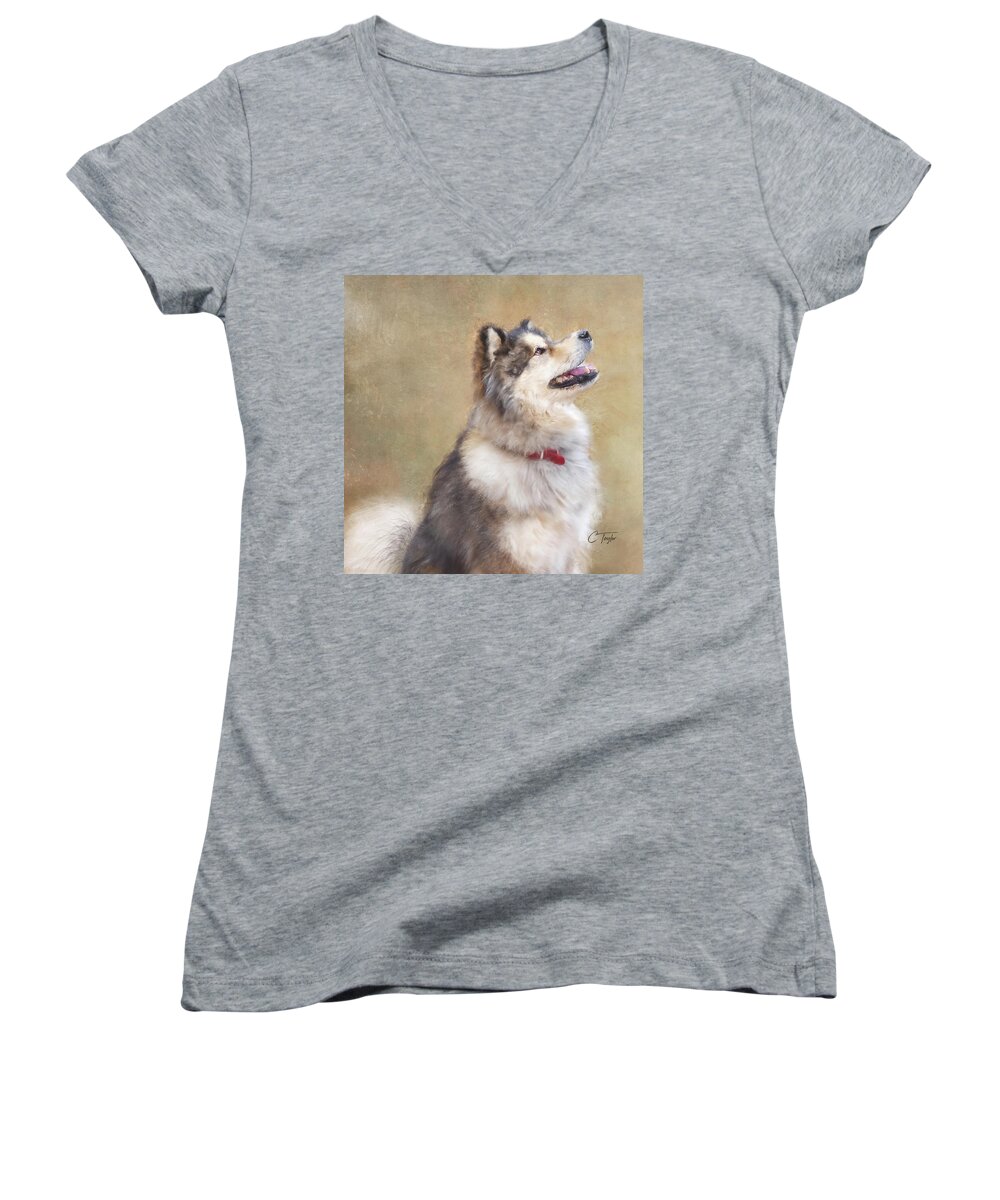 Dogs Women's V-Neck featuring the painting Master of the Domain II by Colleen Taylor