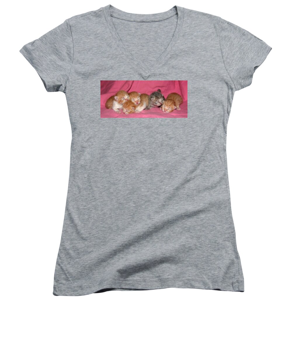 Scottish Fold Women's V-Neck featuring the pyrography May 2006 by Robert Morin