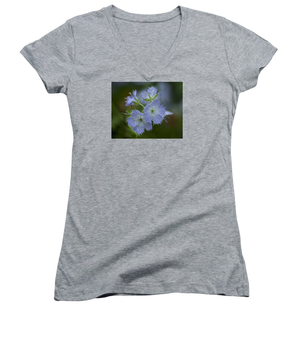 Phacelia Women's V-Neck featuring the photograph Miami Mist bloom by David Watkins