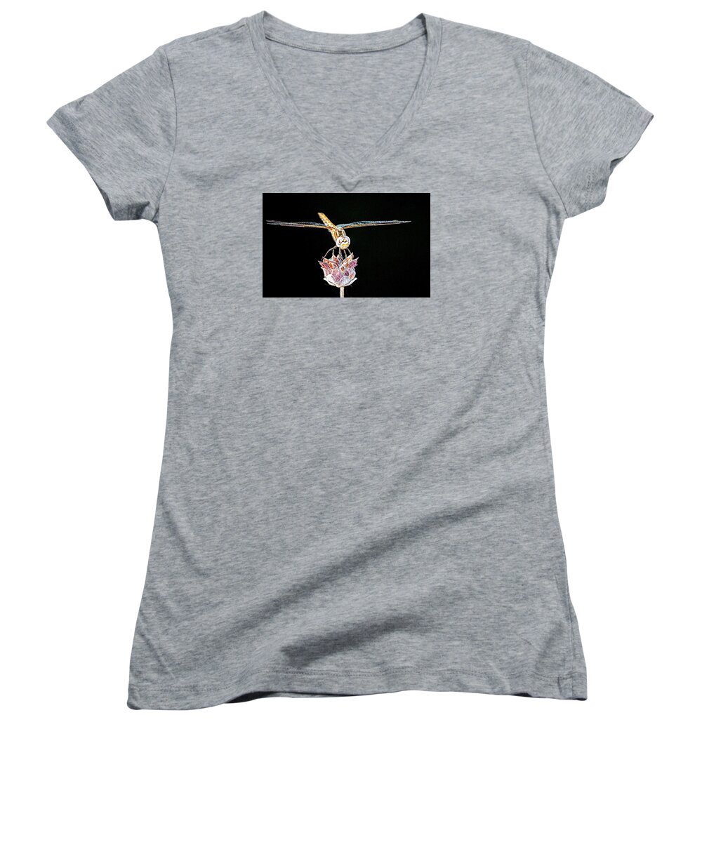 Insect Women's V-Neck featuring the photograph Midnight Landing by AJ Schibig