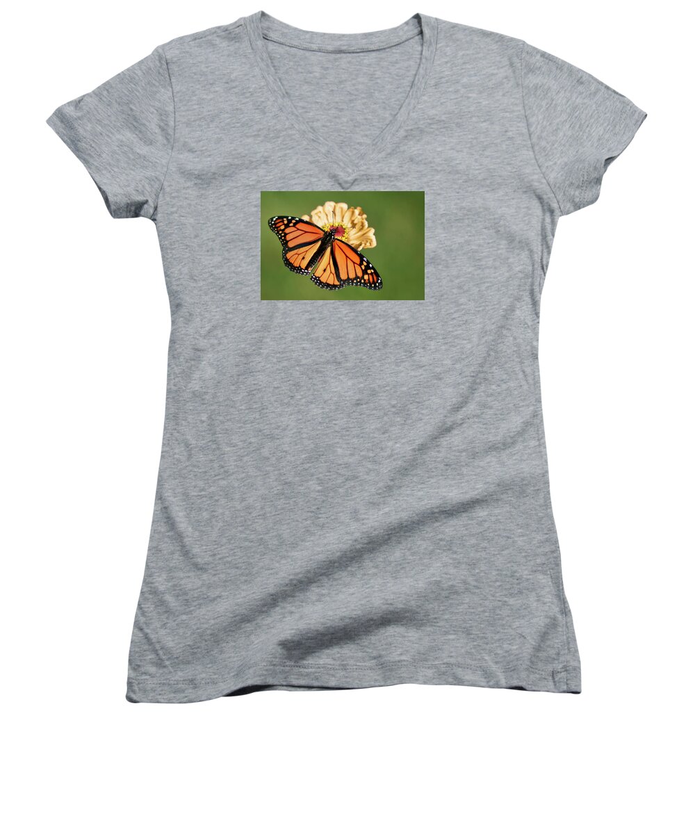 Butterfly Women's V-Neck featuring the photograph Migrant Worker by Nikolyn McDonald