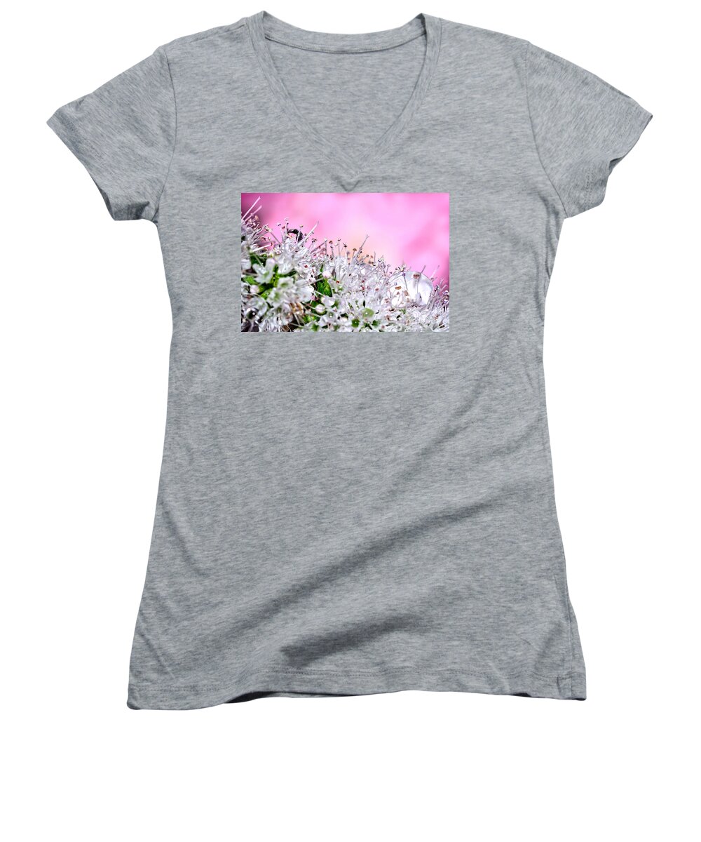 Photography Women's V-Neck featuring the photograph Mint Flower Macro by Kaye Menner by Kaye Menner