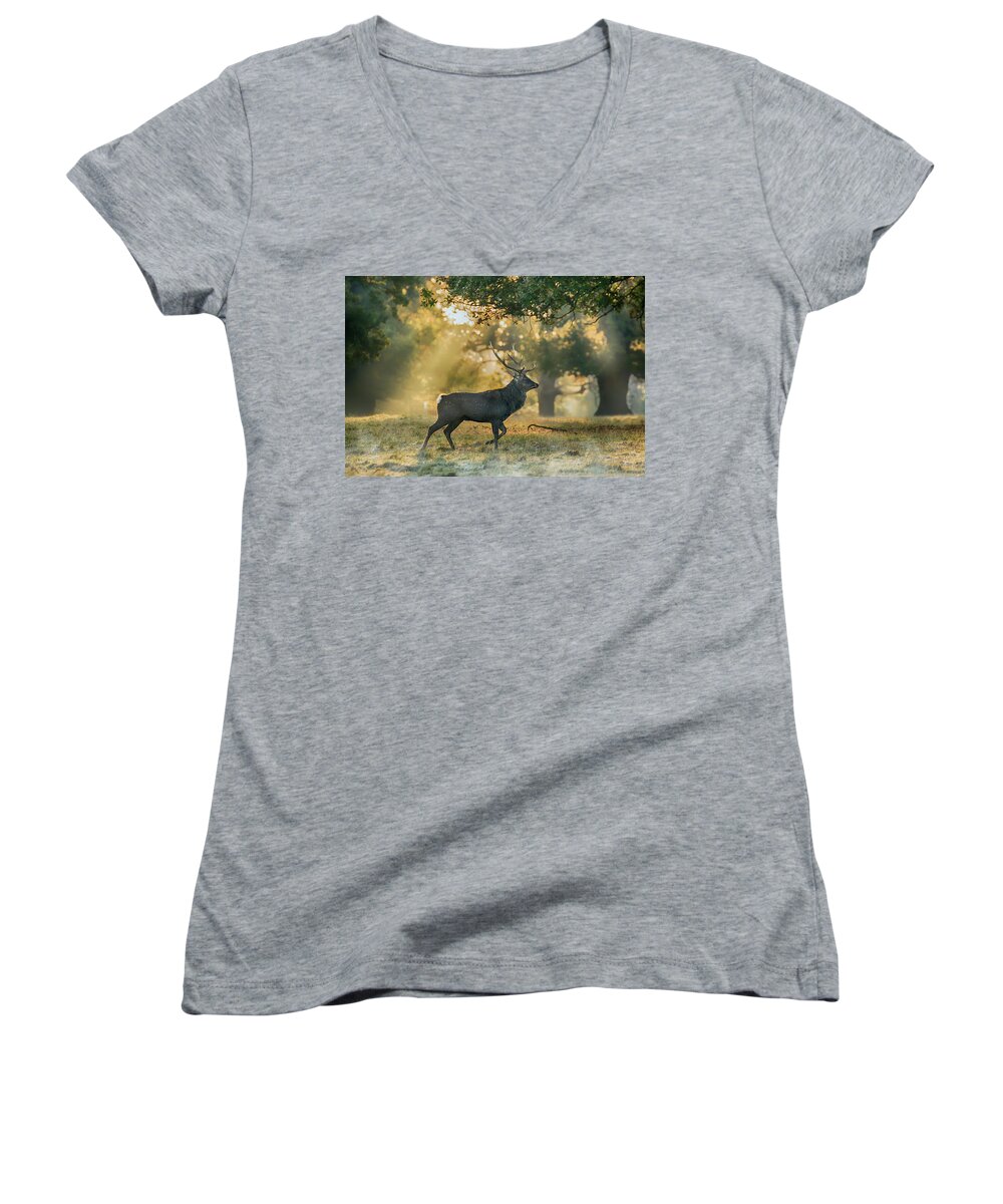 Deer Women's V-Neck featuring the photograph Misty Walk by Scott Carruthers