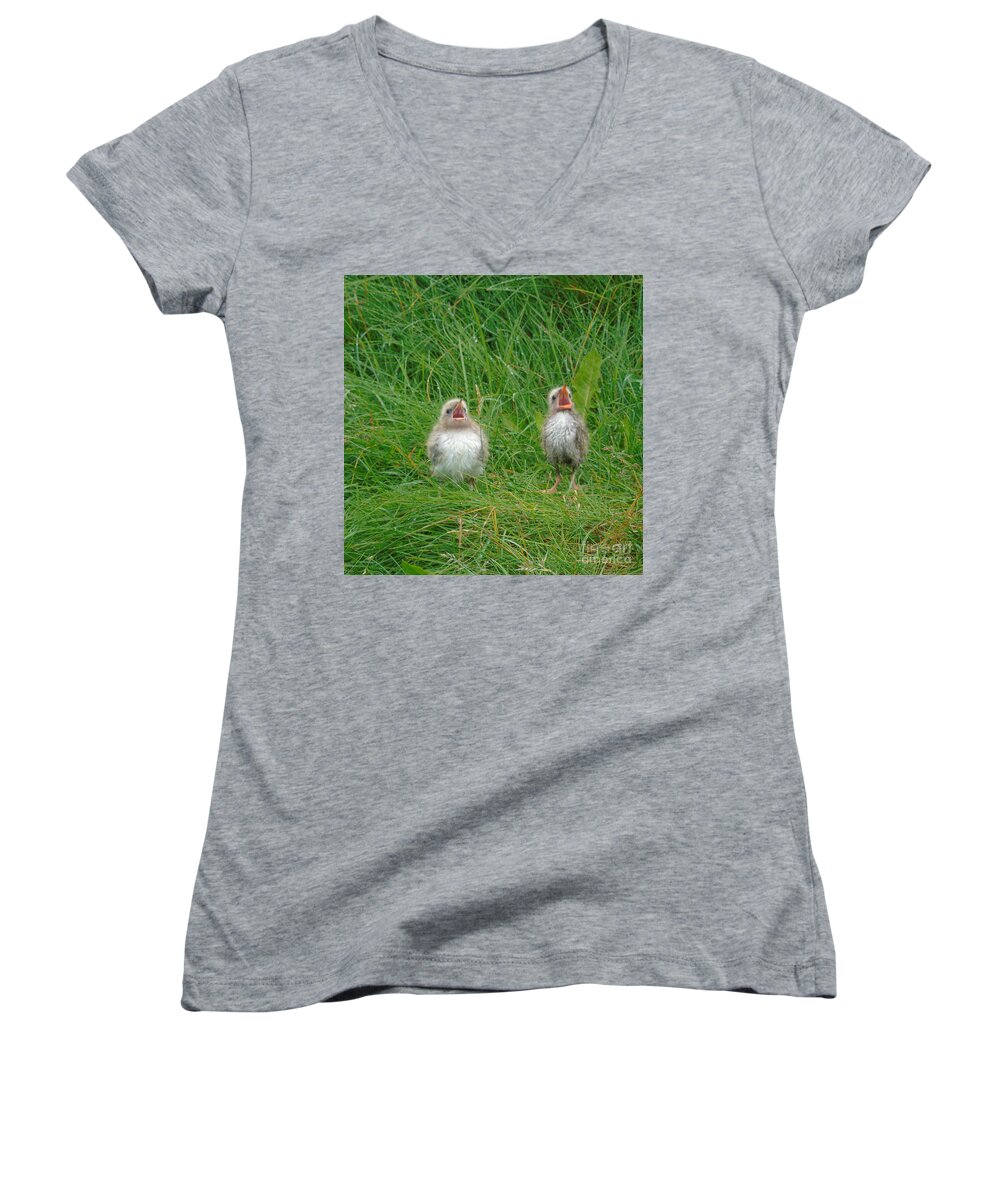 Animal Baby Women's V-Neck featuring the photograph Mom Mom Mom Mom by Susan Lafleur