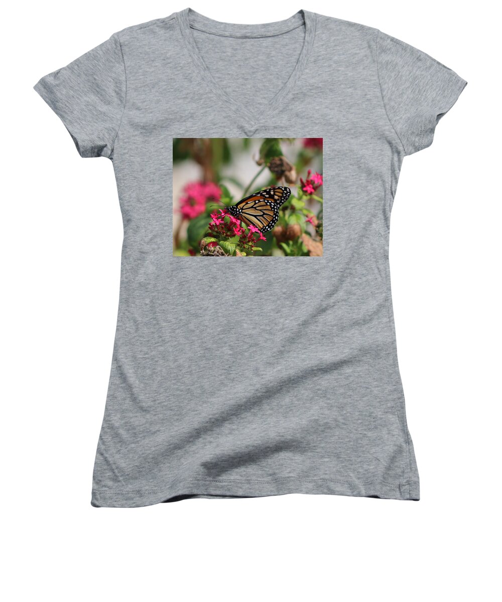 Monarch Butterfly Women's V-Neck featuring the photograph Monarch Butterfly on Fuchsia by Colleen Cornelius